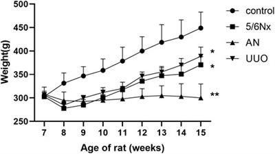 Relative comparison of chronic kidney disease-mineral and bone disorder rat models